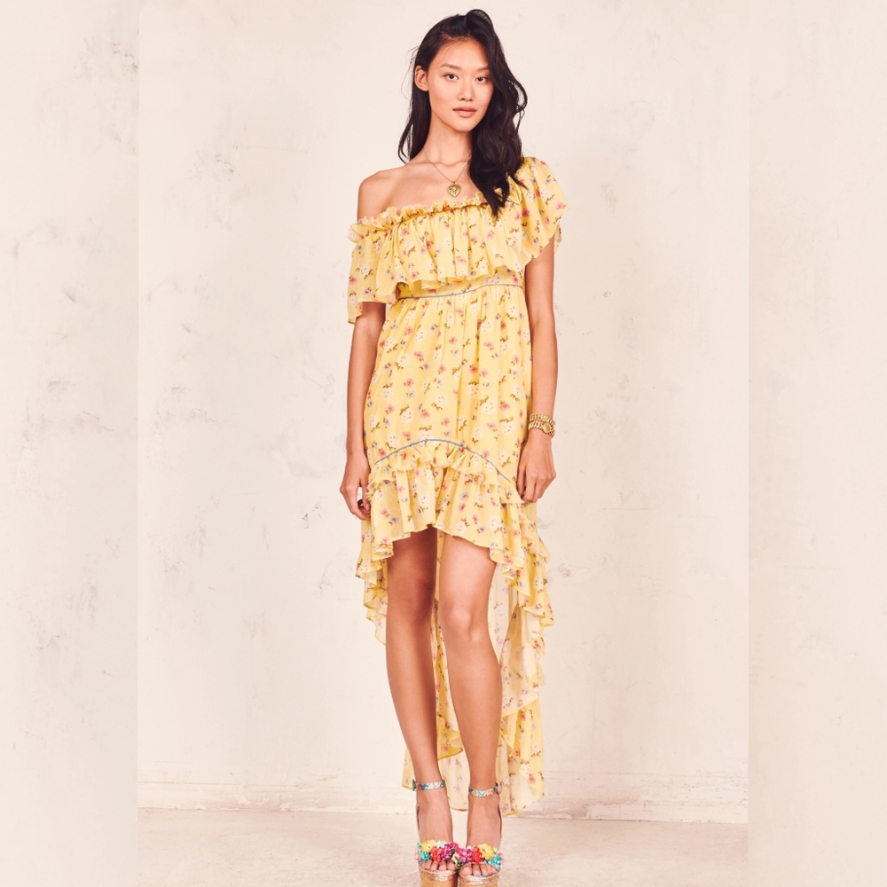 🆕 NWT LoveShackFancy Alexia Dress Sunbath 0 2